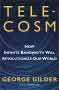 Gilder's telecosm